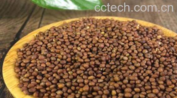 苏子籽怎么吃 苏子籽家常吃法大全-0