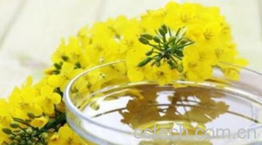 芥花油哪些人不能吃 芥花油的危害-1