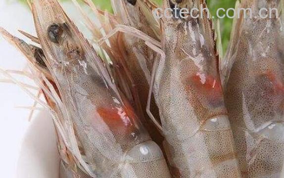 对虾和基围虾的区别-0