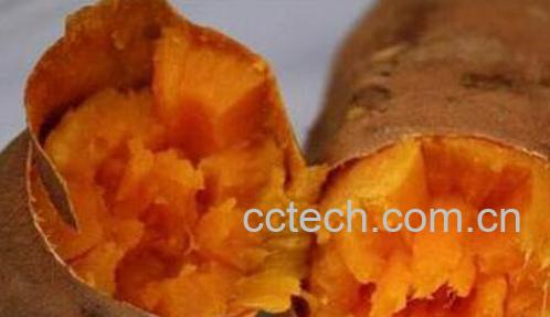 坚持每天吃红薯的好处-1