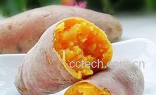 吃蒸红薯的功效与作用 吃蒸红薯有什么好处-0