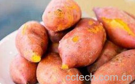 吃蒸红薯的功效与作用 吃蒸红薯有什么好处-1