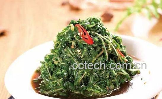 珍珠菜怎么吃 珍珠菜怎么做好吃-0