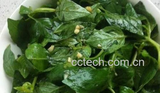 荆芥菜怎么吃 荆芥菜的食用方法-0