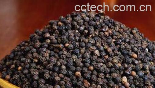 白胡椒和黑胡椒有什么区别 白胡椒和黑胡椒哪个好-1