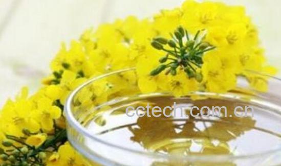 芥花油是什么油 芥花油有害欧洲已禁止-1