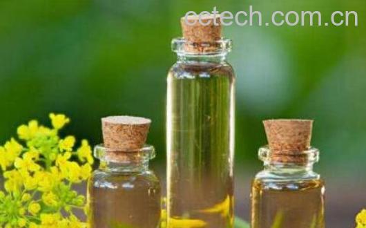 芥花油的优点和缺点 芥花油的功效-1