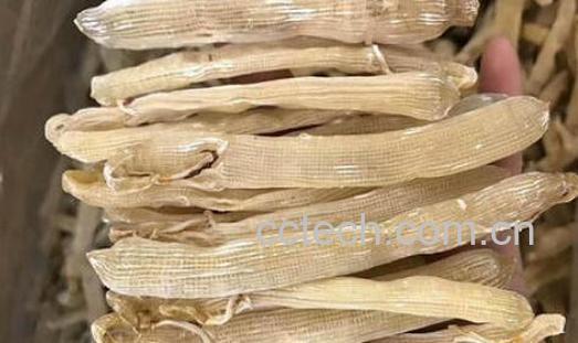 沙虫干的清洗方法图解-1