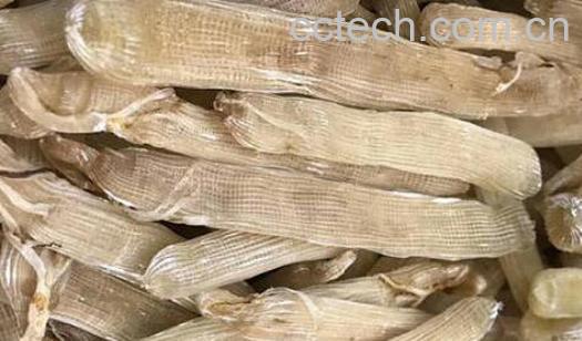 沙虫不适合什么人群吃-1