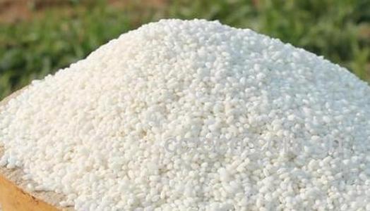 女性吃糯米有哪些好处 哪些人不可以吃糯米-0