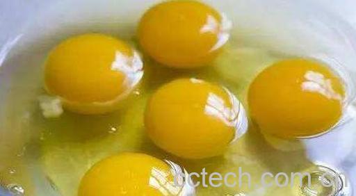 男人吃生鸡蛋的好处与坏处-1