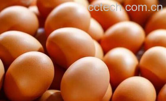 孩子长个子的最佳食物-0