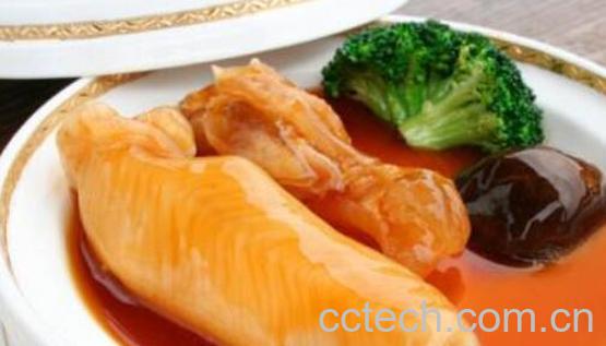 花胶的正确泡发方法 花胶怎么泡发-1