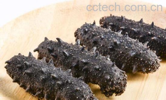 红海参和海参有什么区别-0