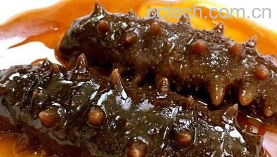 红海参的功效与作用 红海参的食用方法-0