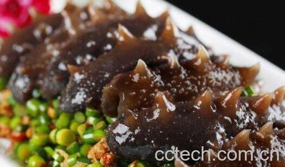 红海参的功效与作用 红海参的食用方法-1