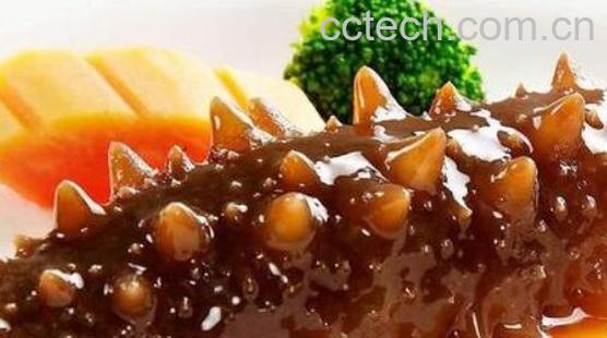 红海参和海参有什么区别-1