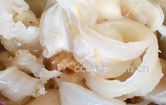 干鱼胶怎么泡发 干鱼胶的正确泡发方法-0