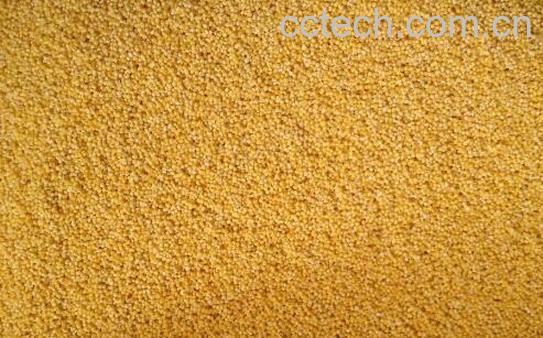 软糜子和硬糜子有什么区别-1