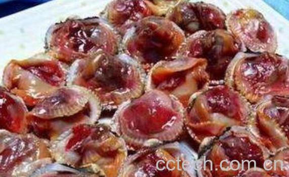 血蛤怎么吃 血蛤如何才能安全食用-0