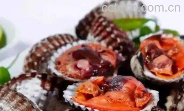 血蛤怎么吃 血蛤如何才能安全食用-1