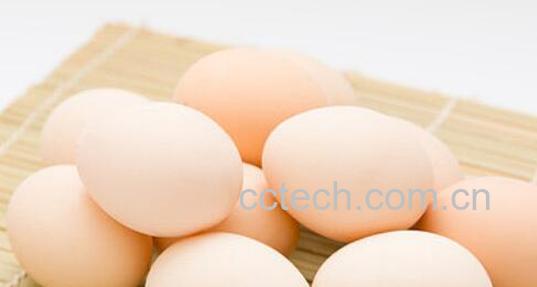 鸡蛋吃多了会有六危害-0