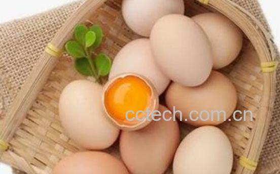 鸡蛋吃多了会有六危害-1