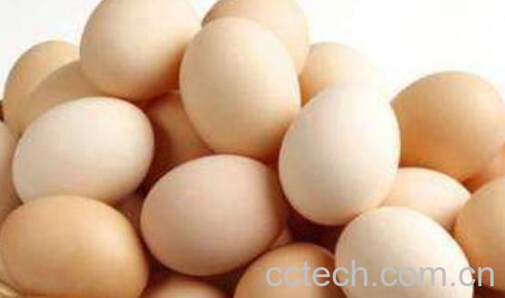 千万不要天天吃鸡蛋 天天吃鸡蛋有哪些坏处-1