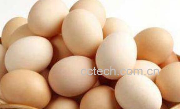 千万不要天天吃鸡蛋 天天吃鸡蛋有哪些坏处-0