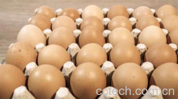 女性早晨吃鸡蛋的好处-1