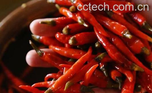 小朝天椒怎么腌制好吃-1