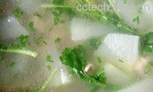 冬瓜汤的功效与作用 冬瓜汤怎么做好喝-1