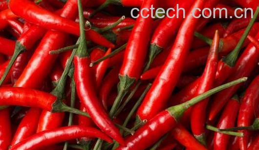 天天吃辣椒的人会怎样 长期吃辣的人会怎样-0