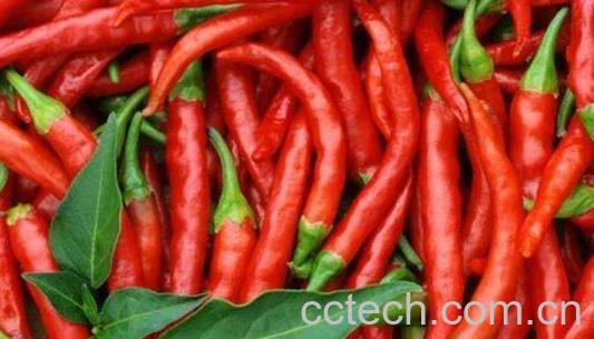 男人吃辣椒的坏处-1