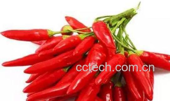 男人吃辣椒的坏处-0