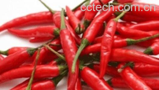 天天吃辣椒的人会怎样 长期吃辣的人会怎样-1