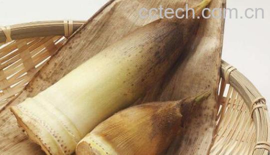  冬笋怎么剥 冬笋的功效与作用-0