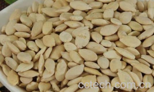 冬瓜子的禁忌与副作用-1