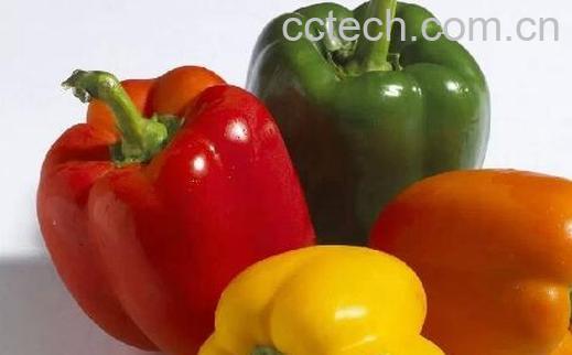 灯笼辣椒怎么吃 灯笼辣椒的食用方法-1