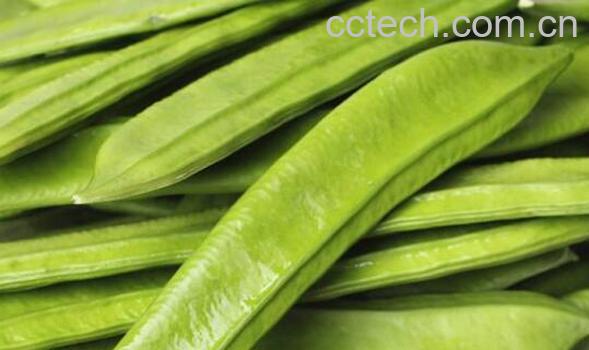 什么是刀豆 刀豆的功效与作用-1
