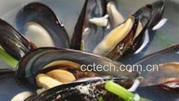 淡菜怎么吃 淡菜的食用方法大全-0