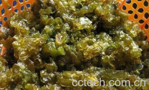 雷公菌的功效与作用 雷公菌的禁忌-0