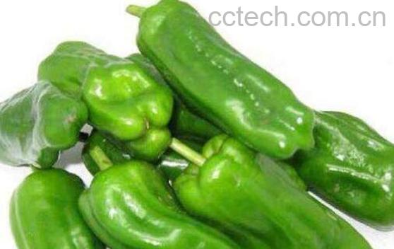 青圆椒的功效与作用禁忌-0