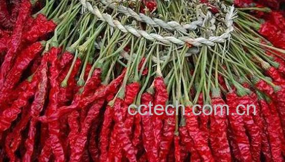 辣椒的营养价值 辣椒的功效-0