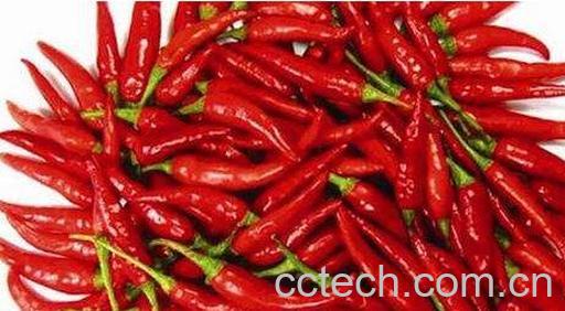吃辣椒的十大好处-0