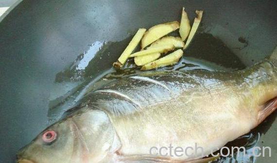 淡水鱼有哪些 淡水鱼的做法-1
