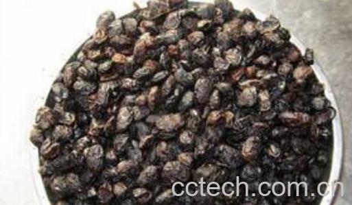  淡豆豉的功效与作用 淡豆豉怎么吃-0