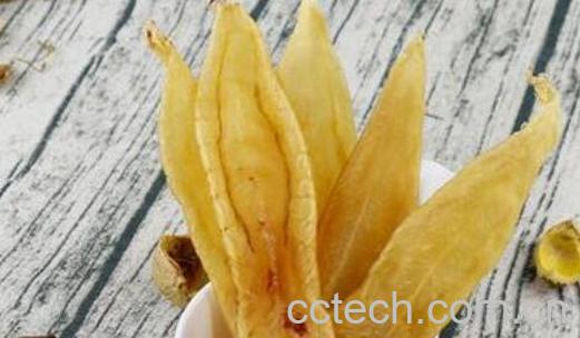 白花鱼胶的功效与作用-0