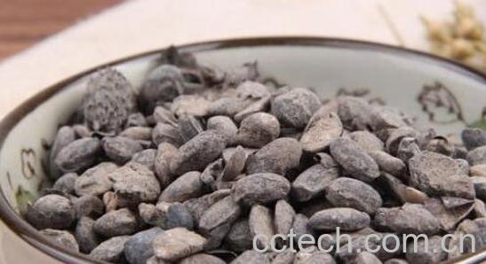  淡豆豉的功效与作用 淡豆豉怎么吃-1