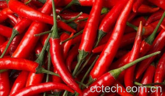 辣椒的营养价值及功效-1